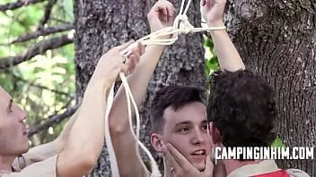 play I bulli del campo gli insegnano una lezione di obbedienza